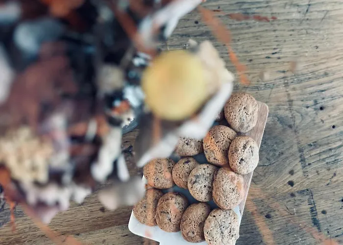 Guest house O D'hotes