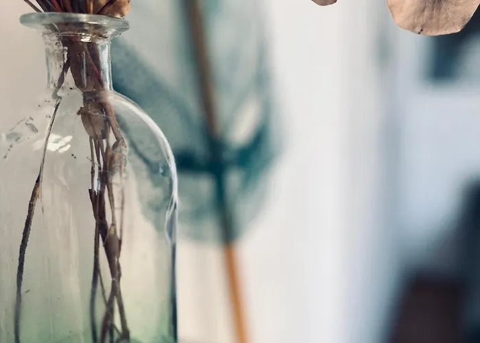 O D'hotes Le Gua (Charente-Maritime)