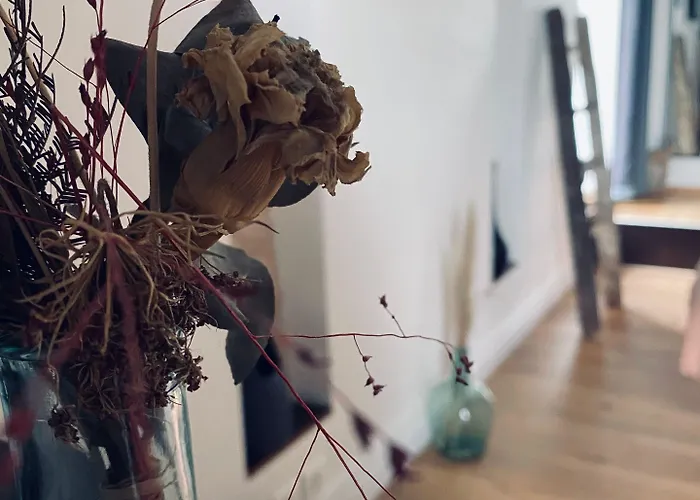 Guest house O D'hotes